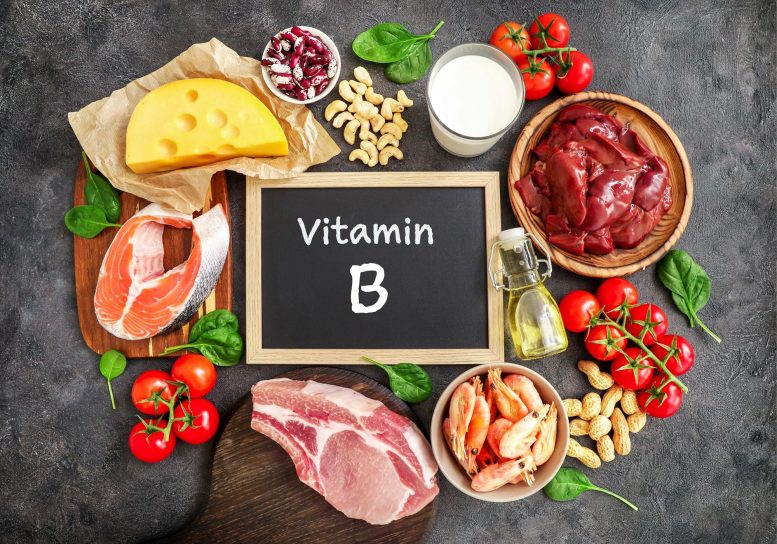 Fonti alimentari di vitamina B