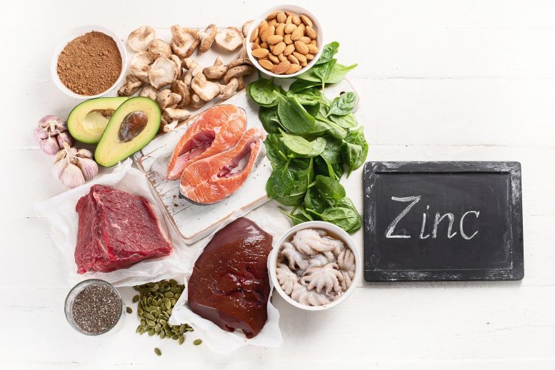 Food Sources of Zinc