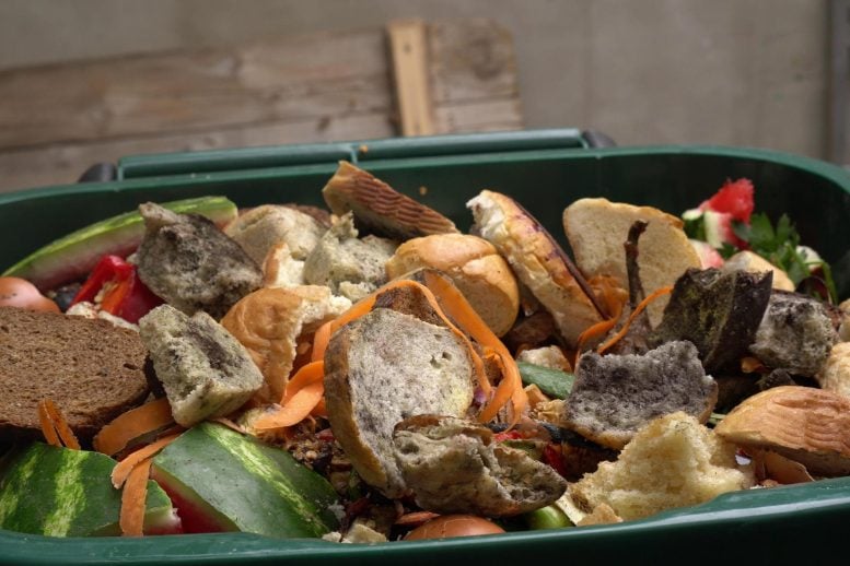 Food Waste Trash Can