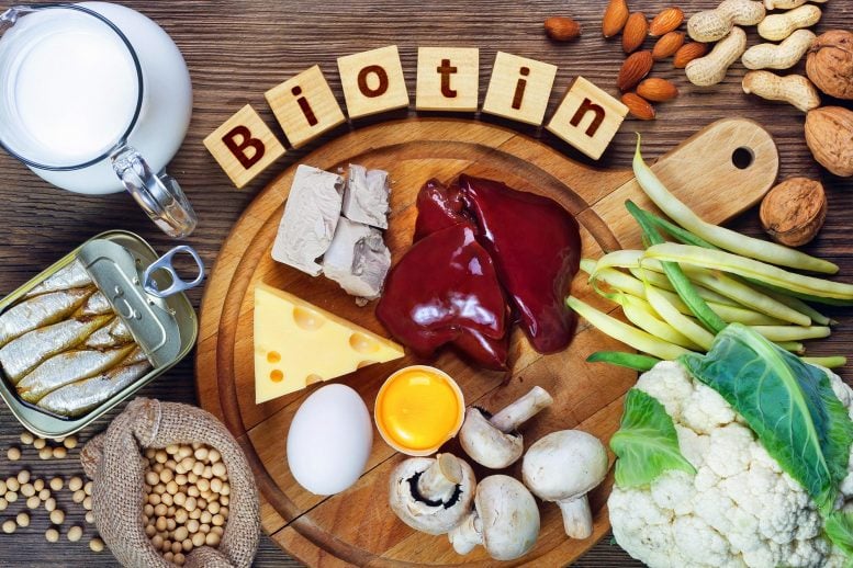 Foods Rich in Biotin Vitamin B7