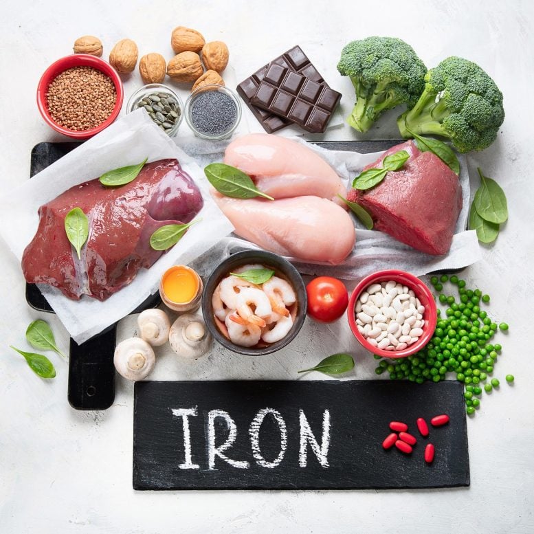 Foods Rich in Iron