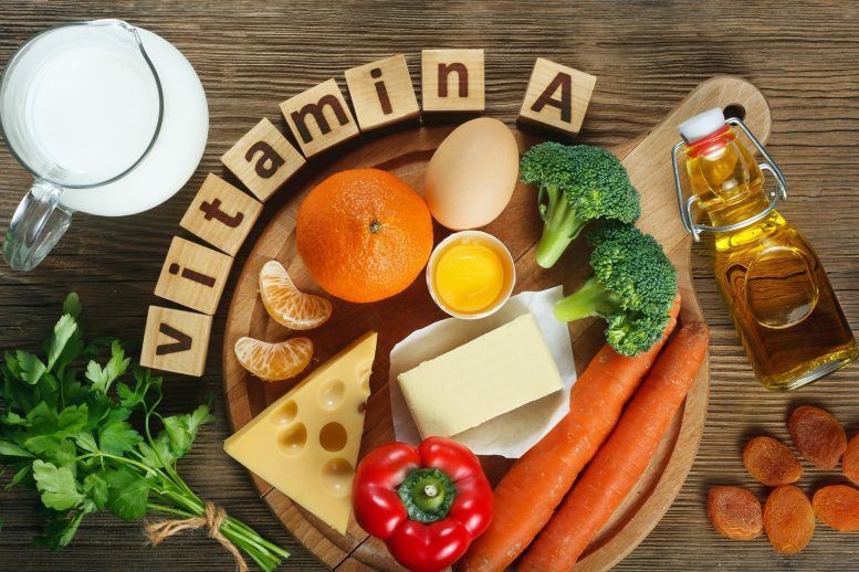 Foods Rich in Vitamin A