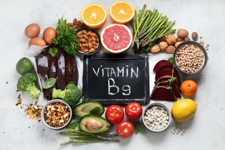 Foods Rich in Vitamin B9