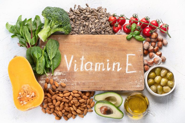 Foods With Vitamin E