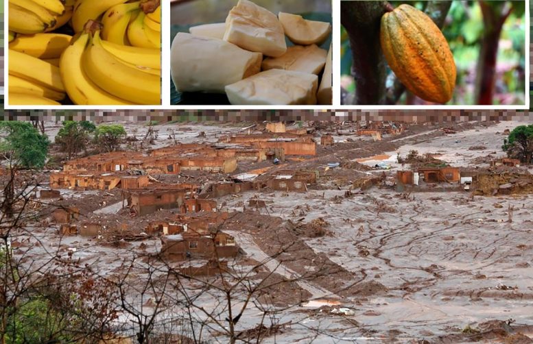 Foods and Landscapes Affected by Mining Contamination