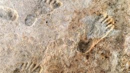 Footprints White Sands National Park Crop