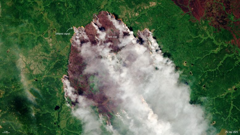 Forest Fires Close to the Arctic Circle