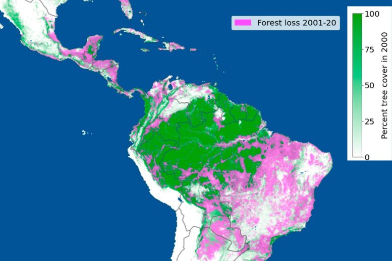 Forest Loss Between 2001 2020