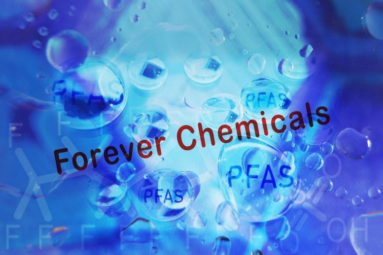 “Forever Chemicals” Found in 97% of Children, Concerning New Study Reveals