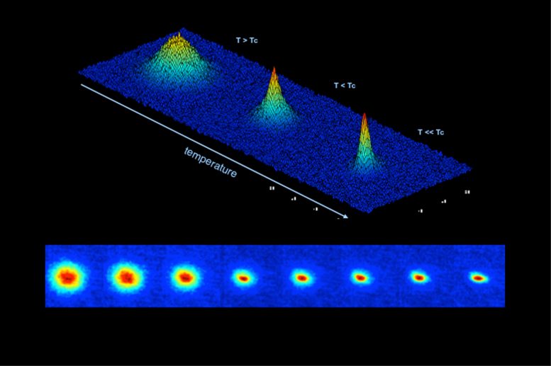 Formation of a Bose Einstein Condensate in the Cold Atom Laboratory