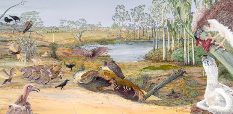 Fossil Birds of Prey Painting