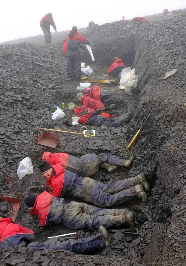 Fossil Bonebed Excavation on Svalbard