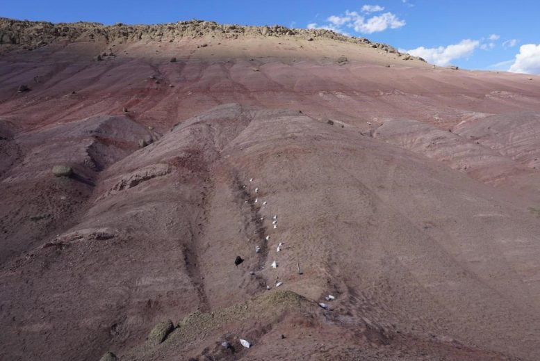 Fossil Excavation Site