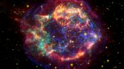 Fossil Remnants Reveal Biological Evidence of a Supernova