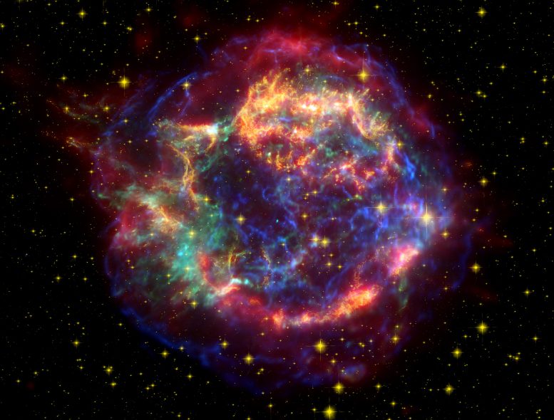 Fossil Remnants Reveal Biological Evidence of a Supernova