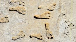 Fossilized Footprints in White Sands National Park