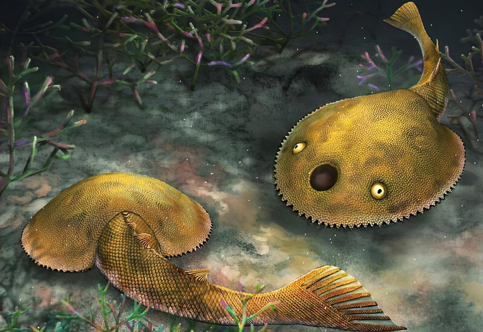 Legends Come Alive: “Nine-Tailed” Galeaspid Fossil Fuels Ancient Lore ...