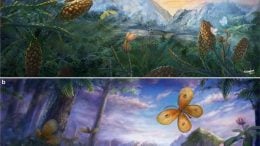 Fossils Reveal Diverse Mesozoic Pollinating Lacewings