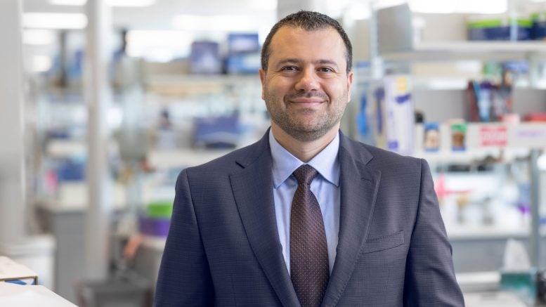 Fouad Chebib