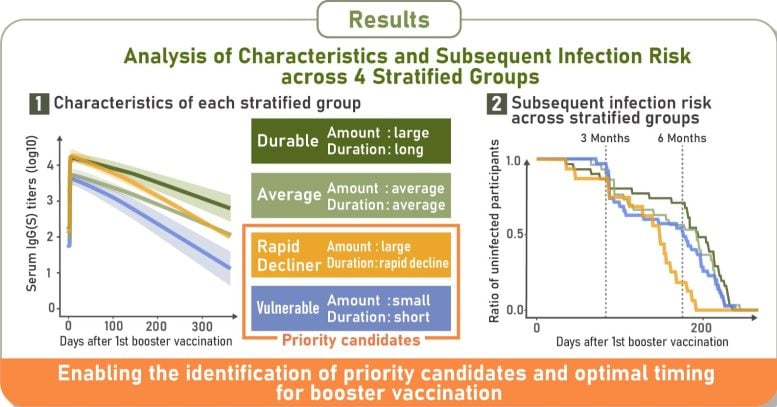 Four COVID 19 Antibody Response Patterns Identified