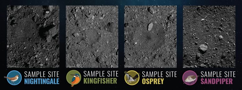 Four Candidate Sample Collection Sites Bennu