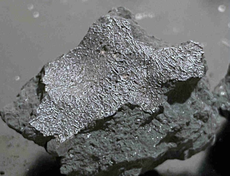 Fragment of the Hillsborough Meteorite