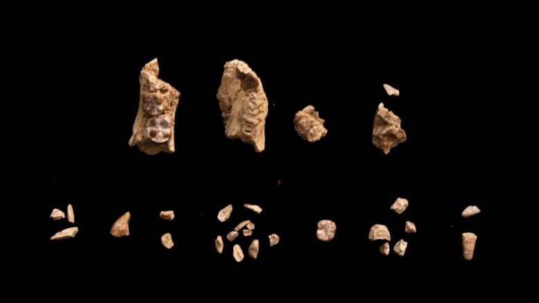 Fragments of BRT-VP-2/135