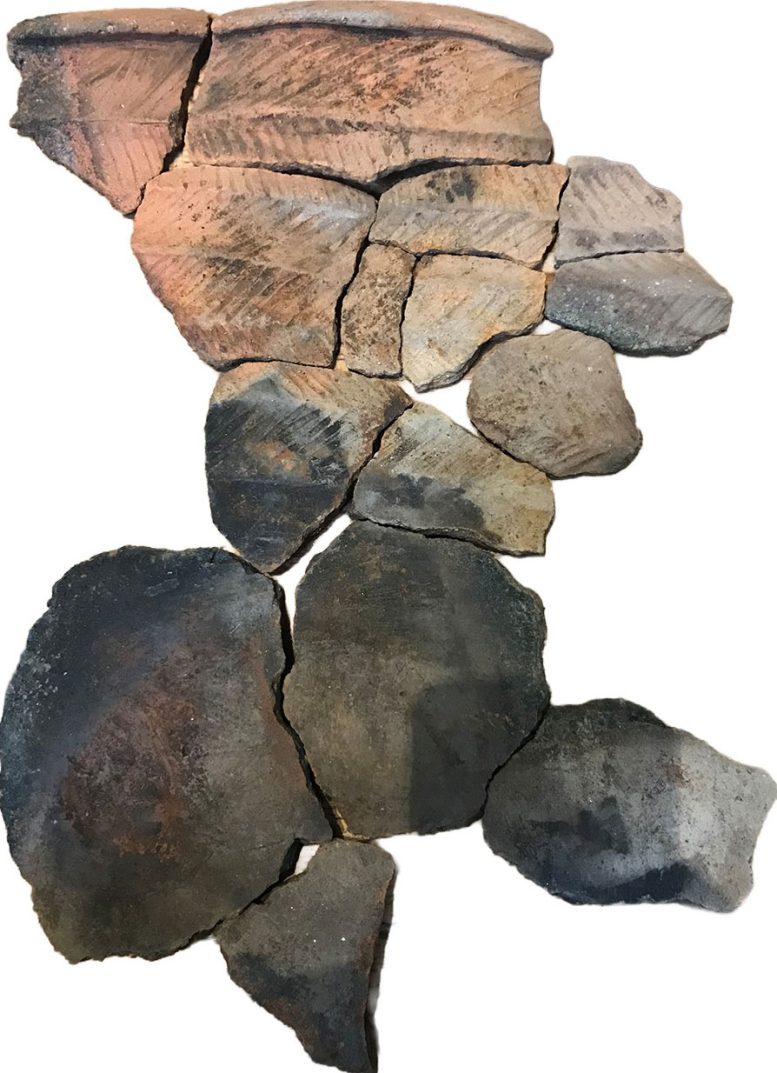 Fragments of a Neolithic Pot Found at Loch Bhorgastail