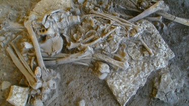 Europe’s First Farmers Mysteriously Disappeared 5,000 Years Ago – Scientists May Have Figured Out Why