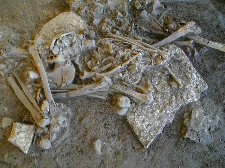 Frälsegården Passage Grave Skeleton