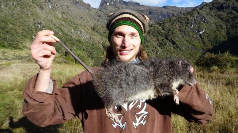 František Vejmělka Pictured With a Subalpine Woolly Rat
