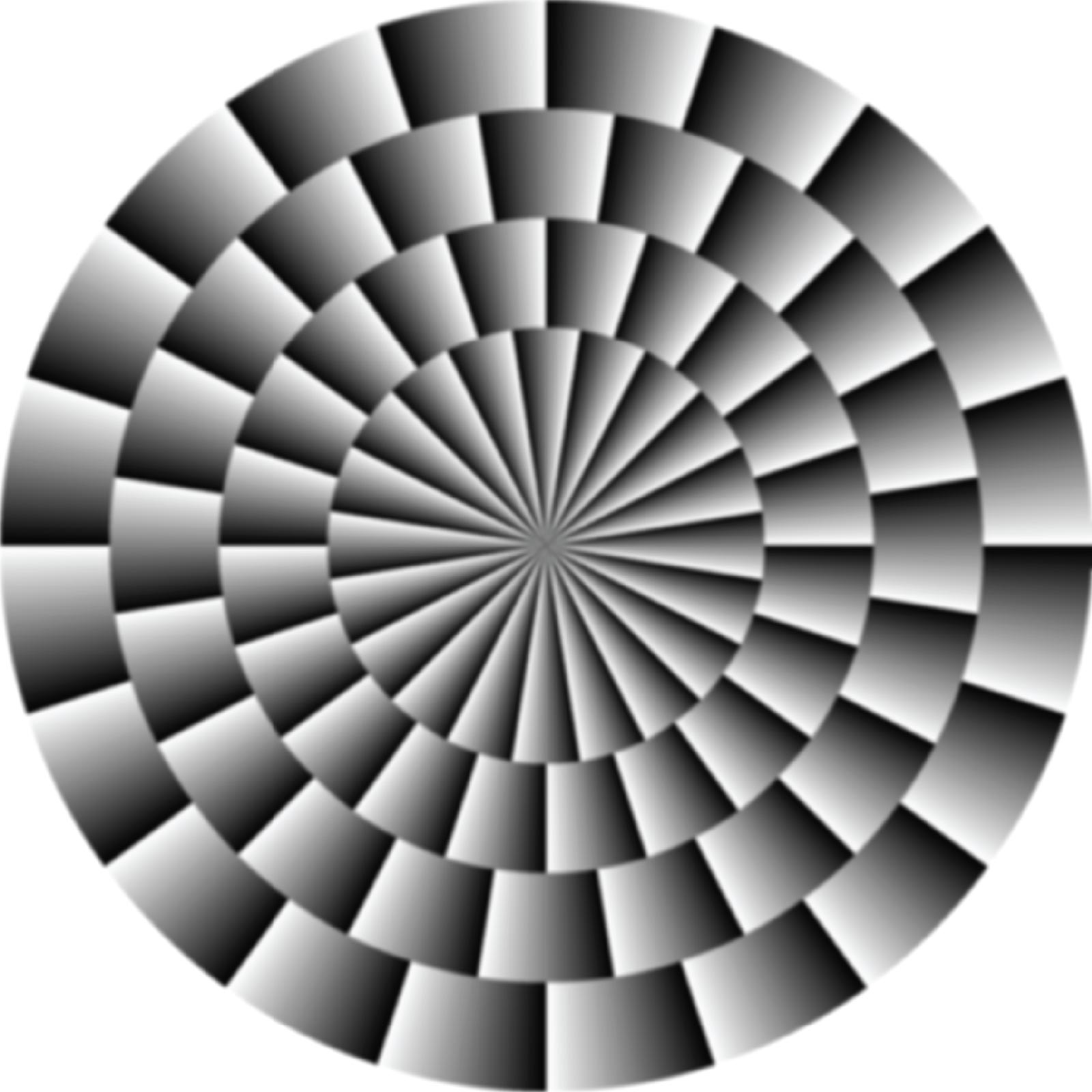 Scientists Find a Neurological Synergy in Explaining the Processing of a  Common Optical Illusion