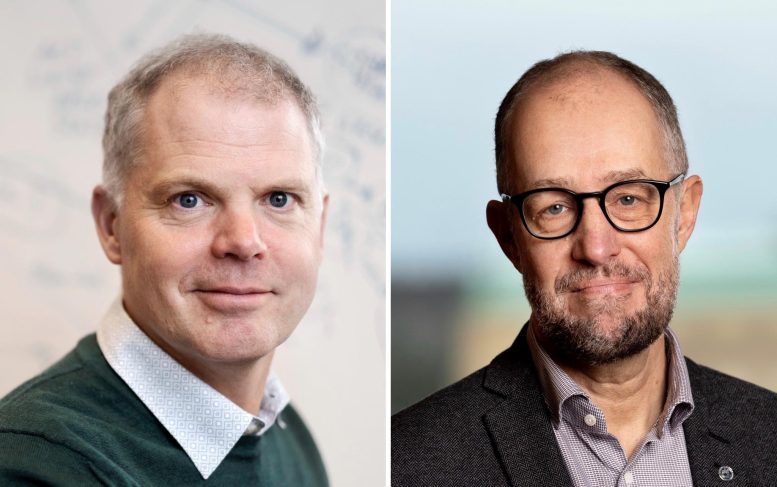 Fredrik B&auml;ckhed and Magnus Simr&eacute;n