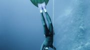 Freediver Training