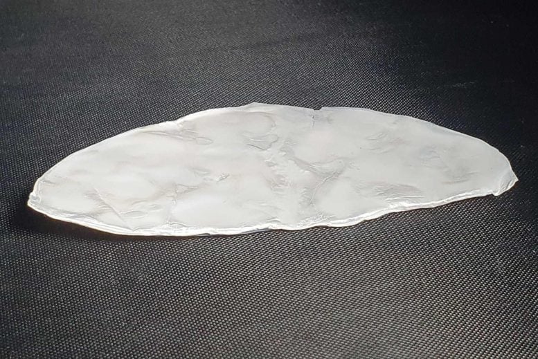 Freeze-Dried Cellulose Mat