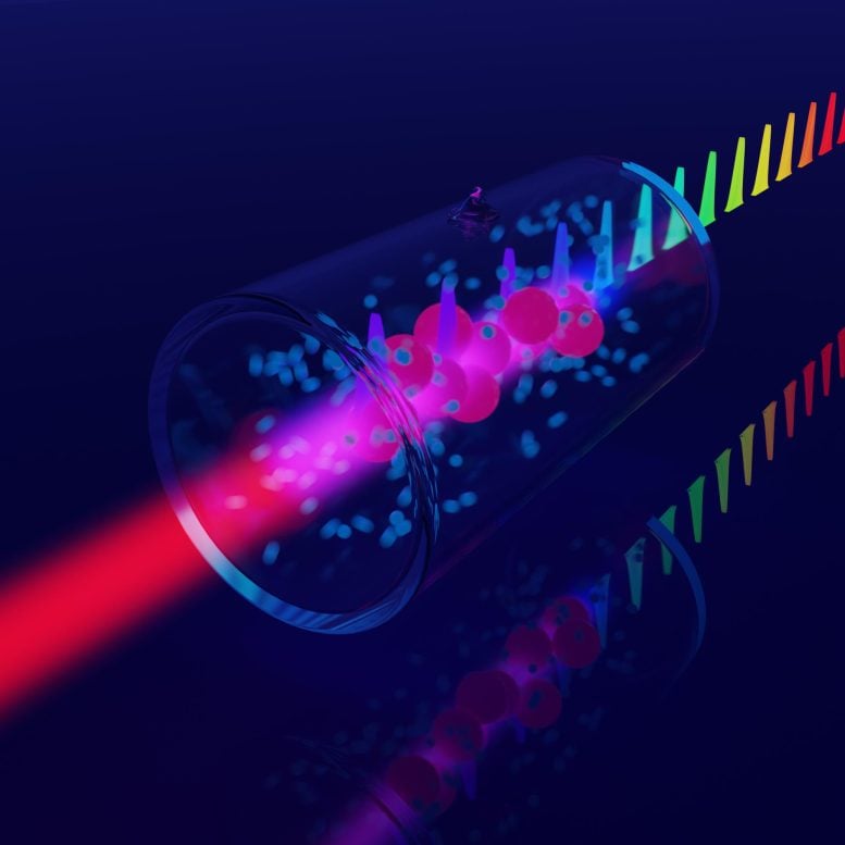 Frequency Comb Converted Into Light by a Cell With Rubidium Atoms