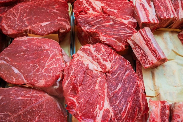 Sudden Find out about: Iron within the Meat You Devour May Result in Diabetes