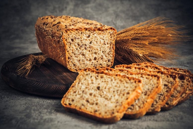 Scientists Discover a Surprising Way To Make Bread Healthier and More Nutritious
