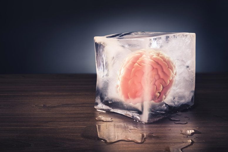 Frozen Brain Freeze Ice