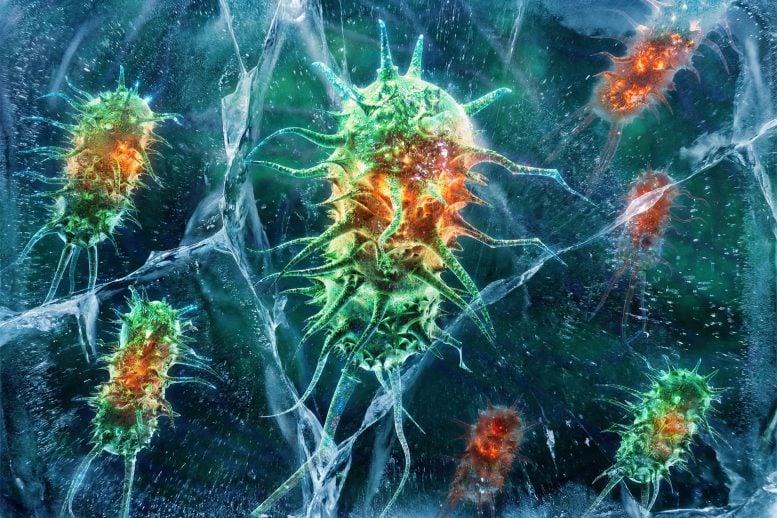 Frozen Glowing Bacteria Dangerous