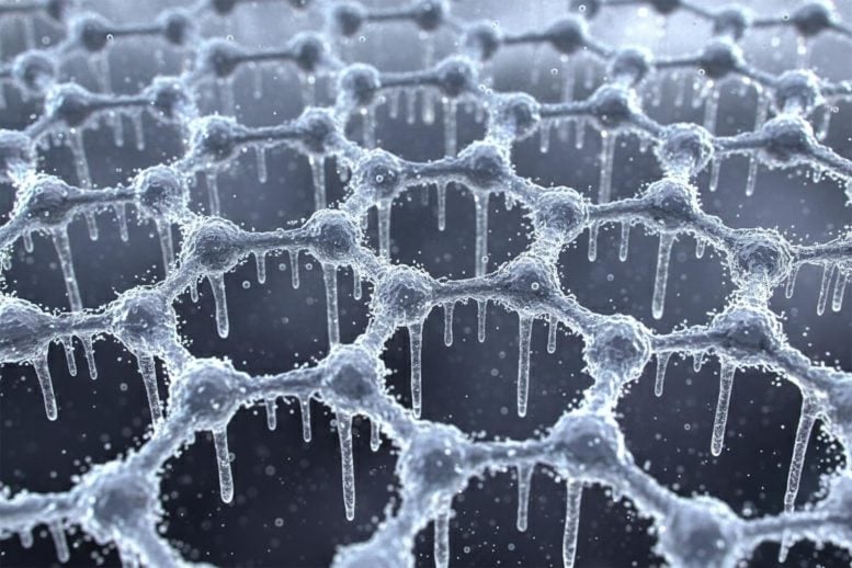 Frozen Graphene