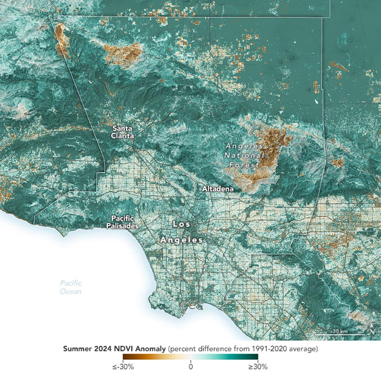 Fuel for Los Angeles California Fires Annotated