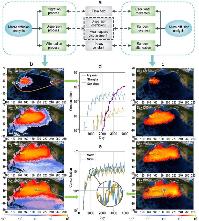 Fukushima Nuclear Accident Discharge Macroscopic and Microscopic Diffusion Analyses