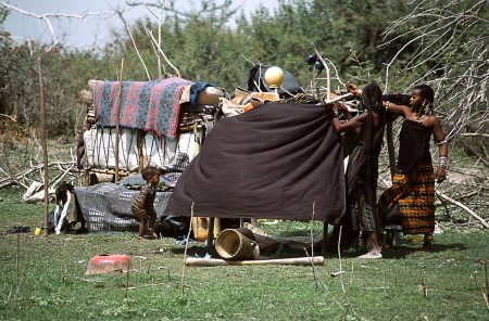 New Study Unlocks the Genetic Secrets of Africa’s Largest Pastoral