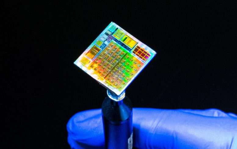 Functional 2D-Enabled Microchips