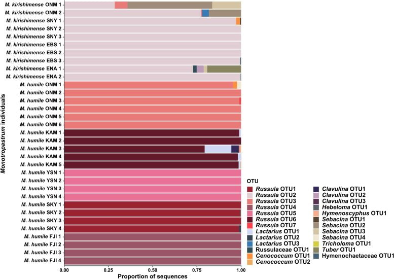 Fungal Lineages Associated With M. kirishimense and M. humile