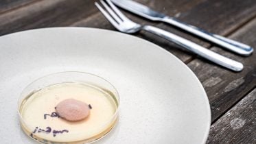 CRISPR-Crafted Cuisine: How Genetic Engineering Is Changing What We Eat