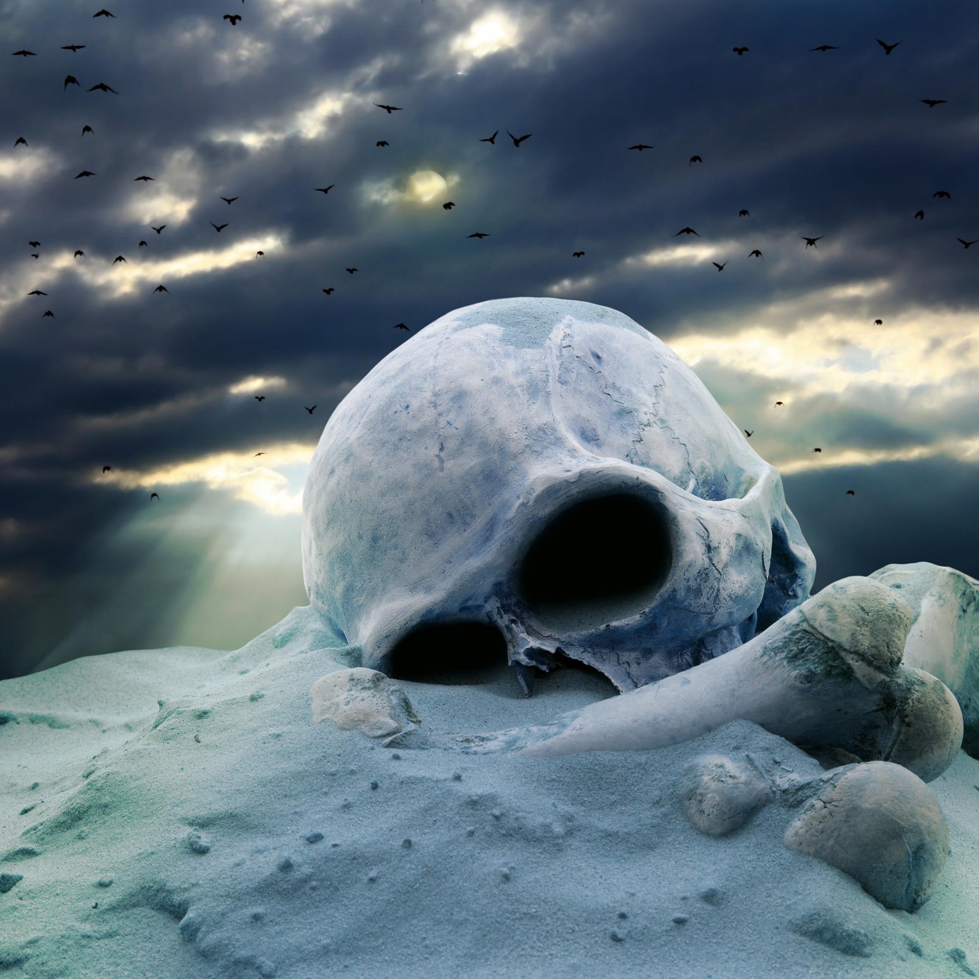 Future Apocalypse Skull Concept