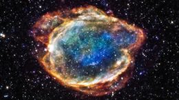 G299 Type Ia Supernova