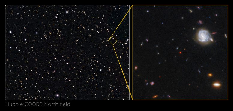 GNz7q dans le champ Hubble GOODS-North